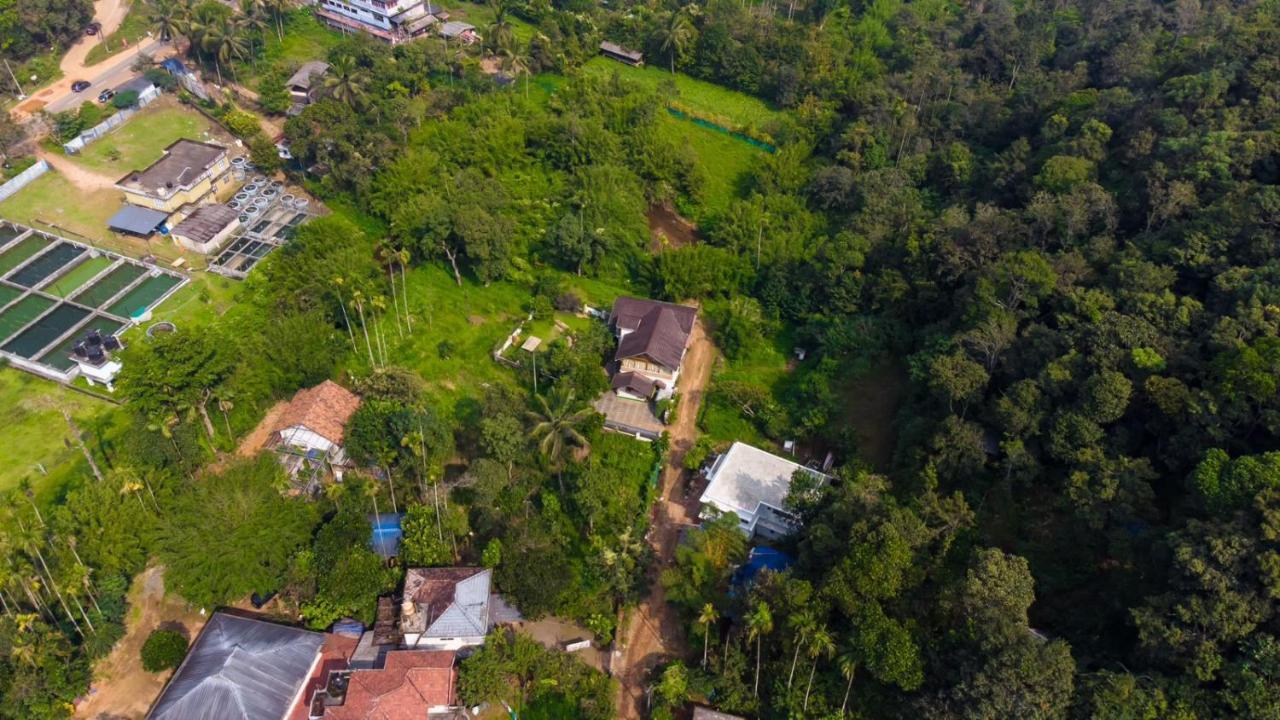 Vythiri Villas Wayanad מראה חיצוני תמונה