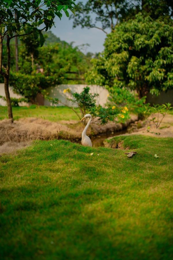 Vythiri Villas Wayanad מראה חיצוני תמונה
